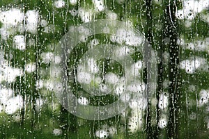 Rain soaked window with green trees in summer.