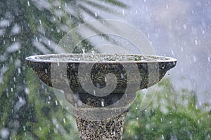 Rain splashing in a birdbath photo