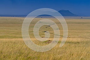 Rain storm approaching Serengeti savannah Plains at Serengeti National Park