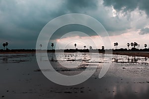 Rain storm in the field