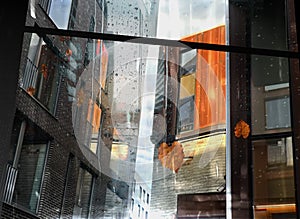 Rain in  town ,umbrella on asphalt on city street, ,modern building ,Rainy weather ,Autumn leaves on window frame ,wet drops ,nigh