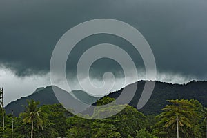 Rain in Tropical Forest hills Natural Landscape Concept