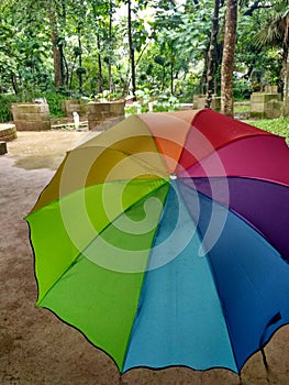 Rain and the umbrella