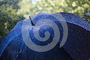 Rain on umbrella