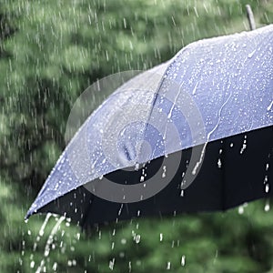 Rain on umbrella background, weather forecast and environment concept