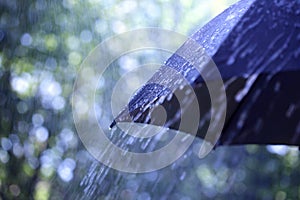 Rain on umbrella photo