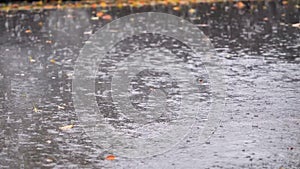 Rain water drops falling into puddle on asphalt, flooding the street. Road floods due to the heavy rain in wet season, slow motion