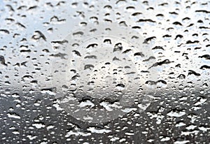 Rain Water Drops on a Glass Window