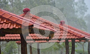 Rain water drops on red concrete rooftops