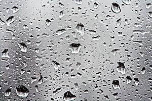 Rain water drops on a window