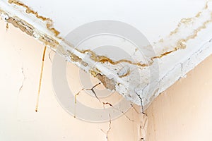 Rain water leaks on the ceiling because of damaged roof causing decay, peeling paint and moldy