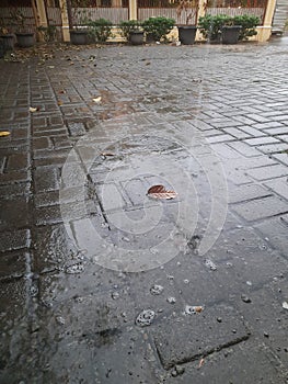 Rain water wets the stone floor, leaves are scattered around