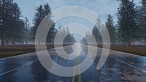 Rain wet empty road Nature scenery