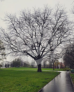 Rain on wether April in Europe