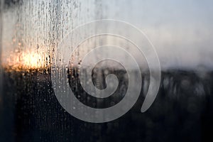 Rain on Window