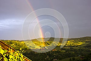 rainbow_3458