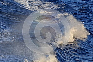 Rainbow above waves in sea