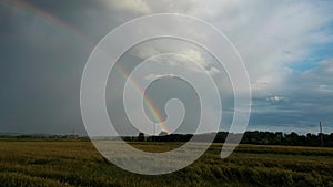 Rainbow Above Wheat Field.  Ripe Crop Field After Rain and Colorfull Rainbow in Background Rural Countryside. Aereal Dron Shoot.
