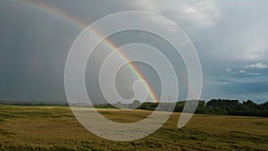 Rainbow Above Wheat Field.  Ripe Crop Field After Rain and Colorfull Rainbow in Background Rural Countryside. Aereal Dron Shoot.