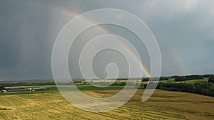 Rainbow Above Wheat Field.  Ripe Crop Field After Rain and Colorfull Rainbow in Background Rural Countryside. Aereal Dron Shoot.