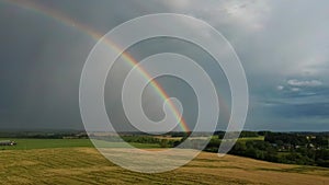 Rainbow Above Wheat Field.  Ripe Crop Field After Rain and Colorfull Rainbow in Background Rural Countryside. Aereal Dron Shoot.