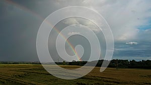 Rainbow Above Wheat Field.  Ripe Crop Field After Rain and Colorfull Rainbow in Background Rural Countryside. Aereal Dron Shoot.