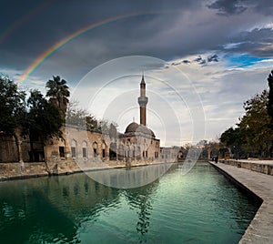 Rainbow at Abraham`s Pool, Sanliurfa, Turkey