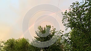 Rainbow along the sky over the tree tops