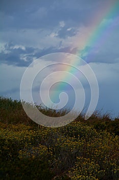 Rainbow appearing behind nature after the storm