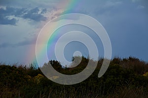 Rainbow appearing behind nature after the storm