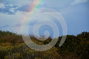 Rainbow appearing behind nature after the storm