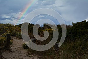 Rainbow appearing behind nature after the storm