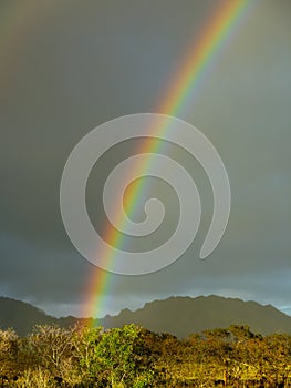 A rainbow appears after rainfall on the Hawaiian island of Kauai