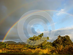 A rainbow appears after rainfall on the Hawaiian island of Kauai