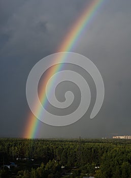 Rainbow on the background of the forest and sky photo