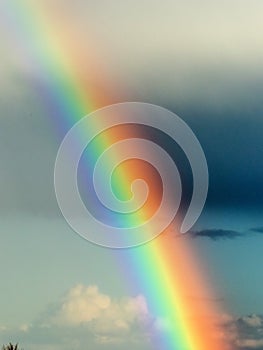 Rainbow