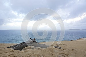 Rainbow Beach Australia 2