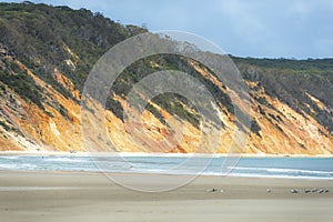 Rainbow Beach at Double Island Point