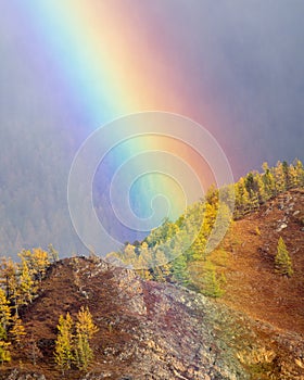 Rainbow big magnification