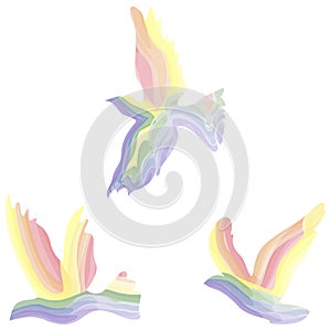 Rainbow bird of freedom.The symbol is LGBT. vector