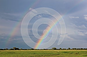 Rainbow Blue - African Nature and Beauty Background