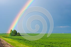 Rainbow in the blue clear sky over green tranquil field illuminated by the sun in the country side