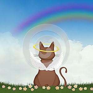 Rainbow bridge for remember cat