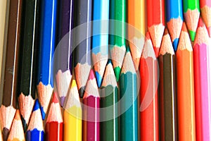 Rainbow bunch laying realistic pencils drawing colorful pattern in the white