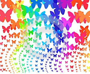 Rainbow butterflies