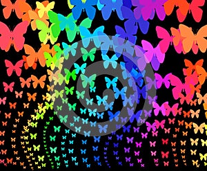 Rainbow butterflies