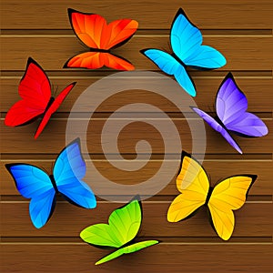 Rainbow butterflies