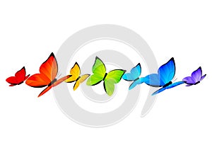 Rainbow butterflies border for Your design 4