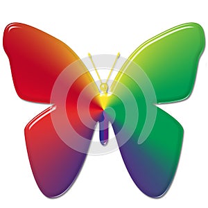 Rainbow Butterfly