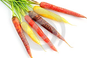 Rainbow carrots on white background